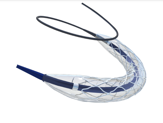<a href="https://insitu-tech.com/siro-drug-eluting-stent/">Siro™ Drug Eluting Stent</a>