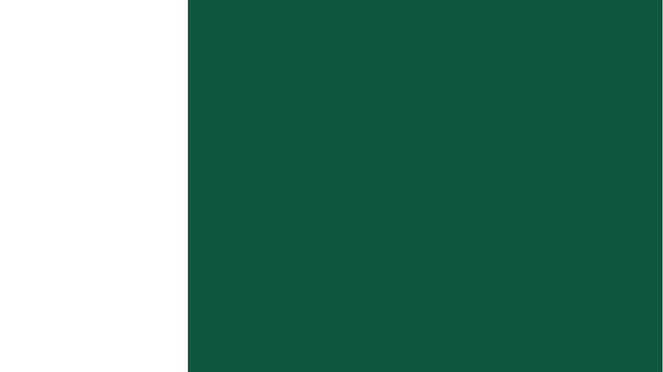 Flag of Pakistan